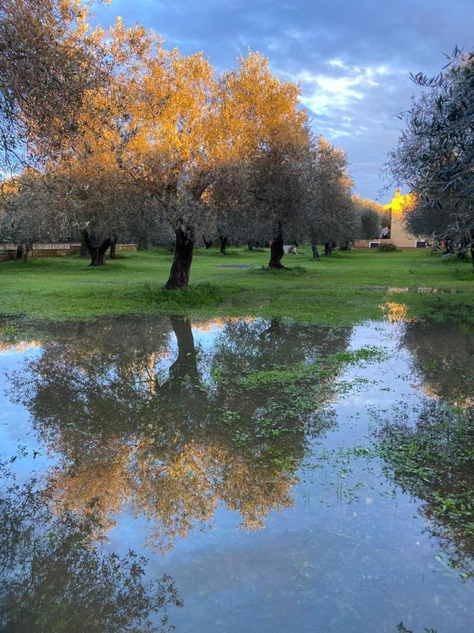 Villa Culla Di Jana Альгеро Екстер'єр фото